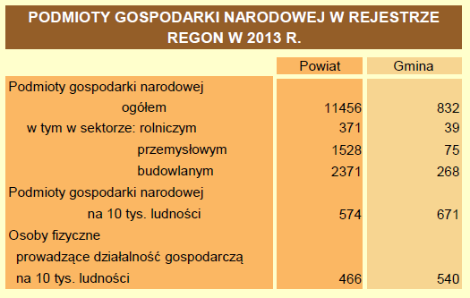 Niski odsetek osób korzystających z sieci wodociągowej i kanalizacyjnej w niektórych miejscowościach, Brak miejsc spotkań społeczności lokalnej w niektórych miejscowościach np.