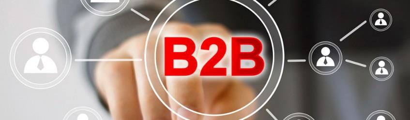 10 lat Liczba projektów B2B 548 Zbadanych branż i sektorów B2B