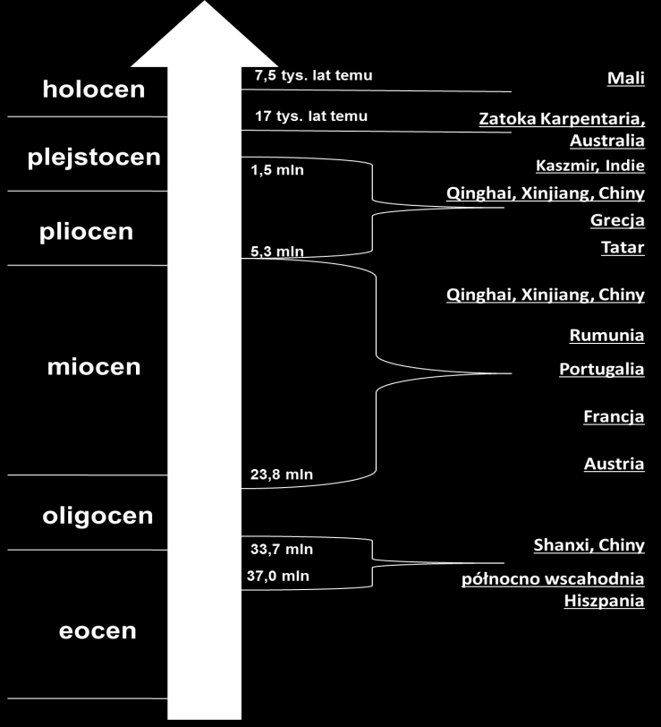 Lychnothamnus barbatus: historia i obecne rozprzestrzenienie Dystrybucja szczątków kopalnych rodzaju Lychnothamnus (za Casanova i