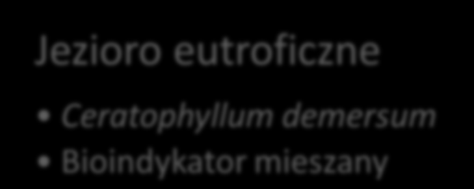 Bioindykacja trofii wód Jezioro oligotroficzne Lobelia dortmanna Bioindykator jakościowy Jezioro mezotroficzne