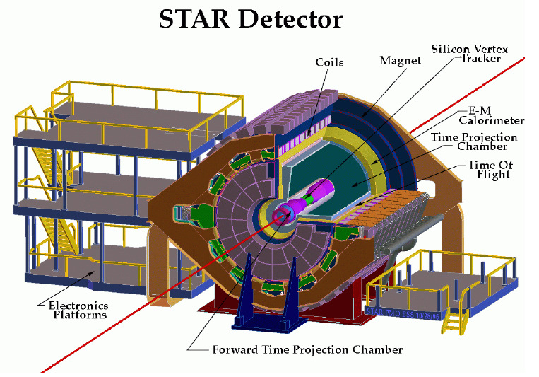 ROZDZIAŁ 4. EKSPERYMENT STAR 33 Rysunek 4.: Schemat zderzacza RHIC [8]. Rysunek 4.: Detektor STAR [4]. umożliwiający śledzenie cząstek emitowanych pod dużymi kątami, SVT (ang.