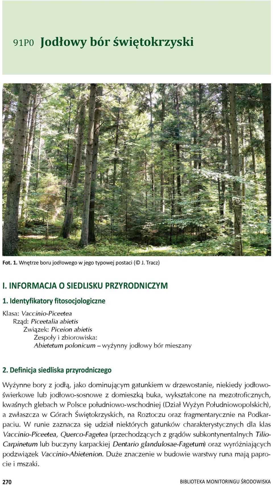 Definicja siedliska przyrodniczego Wy ynne bory z jod, jako dominuj cym gatunkiem w drzewostanie, niekiedy jod owowierkowe lub jod owo-sosnowe z domieszk buka, wykszta cone na mezotroficznych, kwa