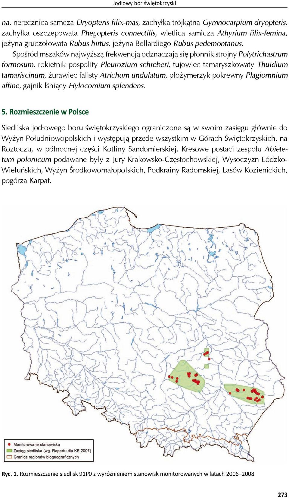 Spo ród mszaków najwy sz frekwencj odznaczaj si p onnik strojny Polytrichastrum formosum, rokietnik pospolity Pleurozium schreberi, tujowiec tamaryszkowaty Thuidium tamariscinum, urawiec falisty