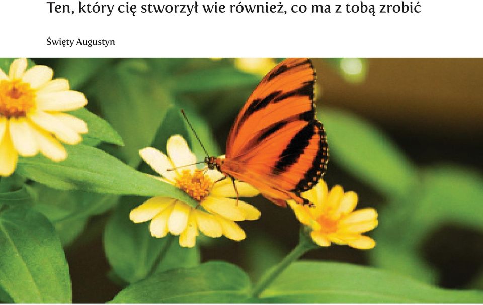 również, co ma z