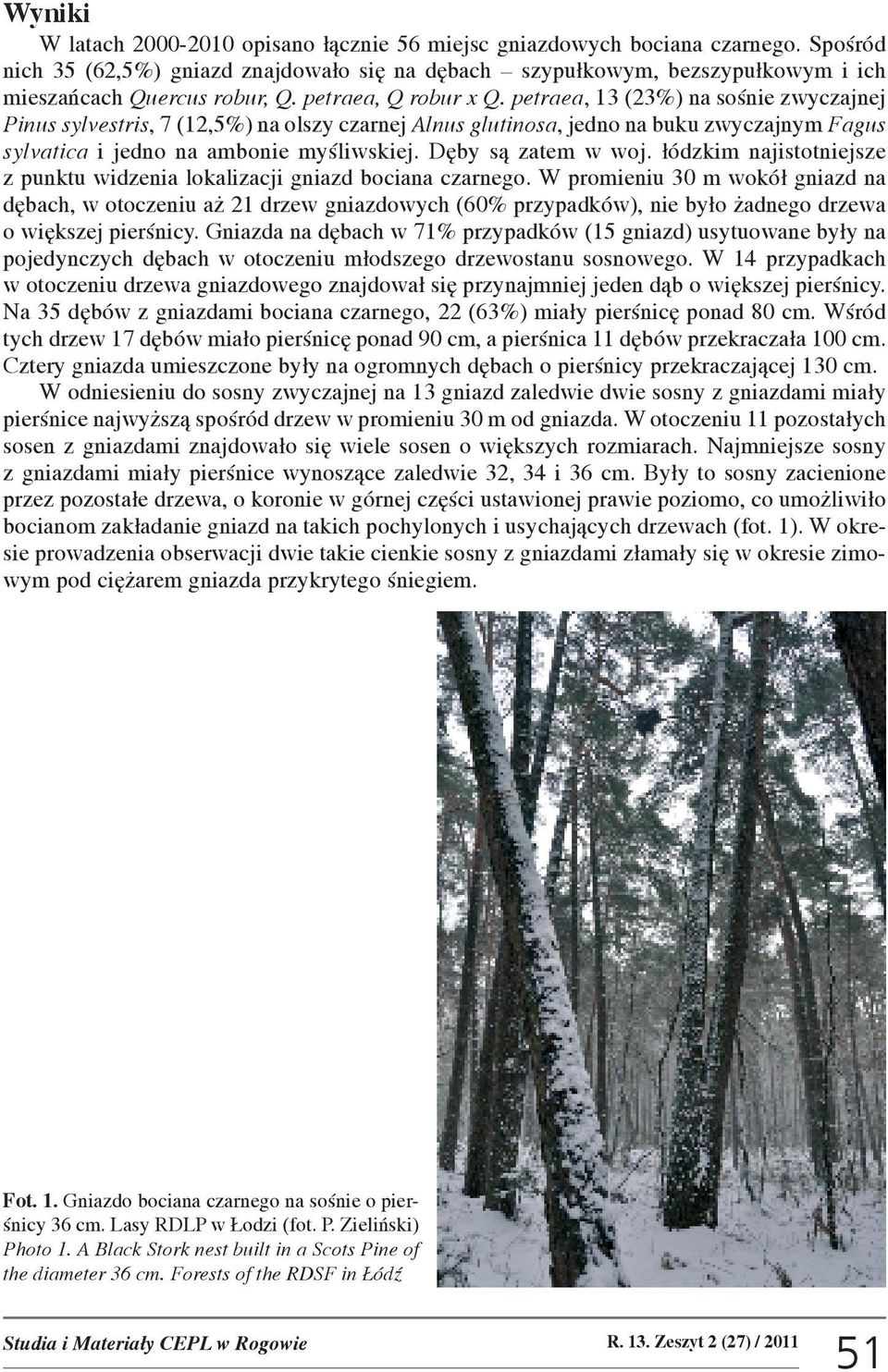petraea, 13 (23%) na soœnie zwyczajnej Pinus sylvestris, 7 (12,5%) na olszy czarnej Alnus glutinosa, jedno na buku zwyczajnym Fagus sylvatica i jedno na ambonie myœliwskiej. Dêby s¹ zatem w woj.