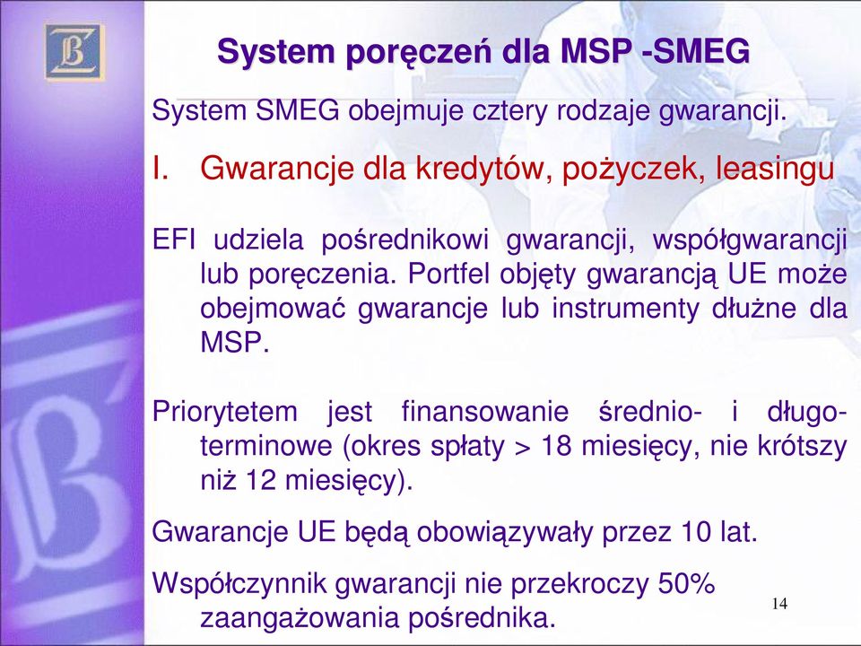 Portfel obj ty gwarancj UE mo e obejmowa gwarancje lub instrumenty d ne dla MSP.