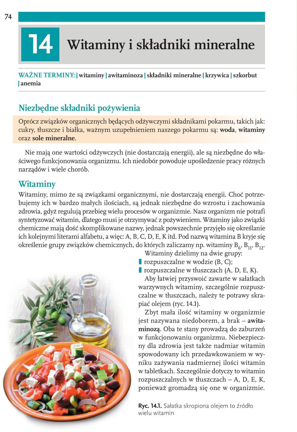 Nie mają one wartości odżywczych (nie dostarczają energii), ale są niezbędne do właściwego funkcjonowania organizmu. Ich niedobór powoduje upośledzenie pracy różnych narządów i wiele chorób.