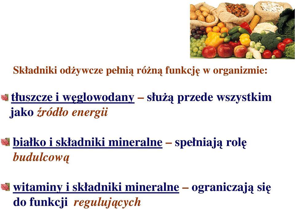 energii białko i składniki mineralne spełniają rolę