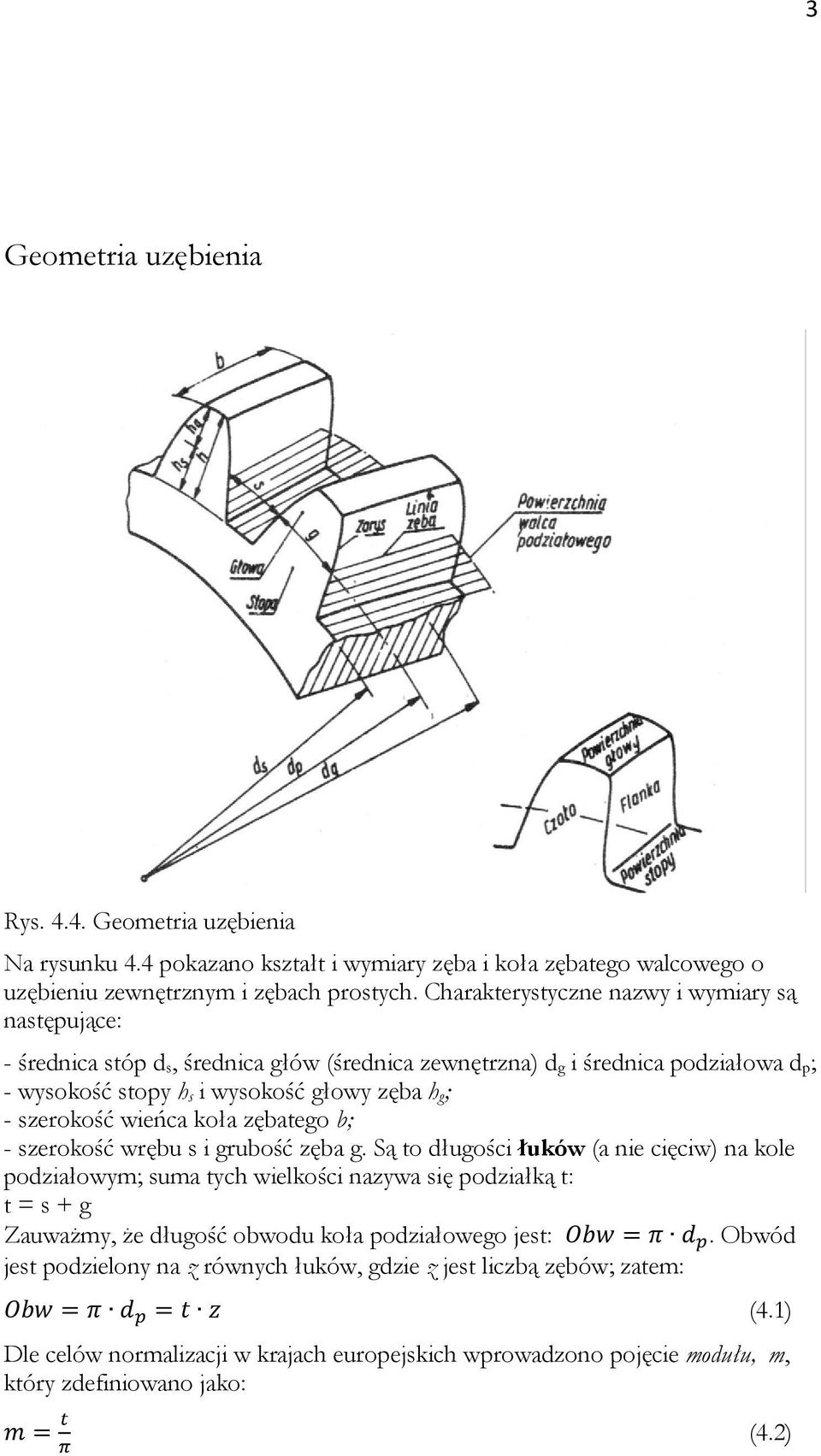 szerokość wieńca koła zębatego b; - szerokość wrębu s i grubość zęba g.