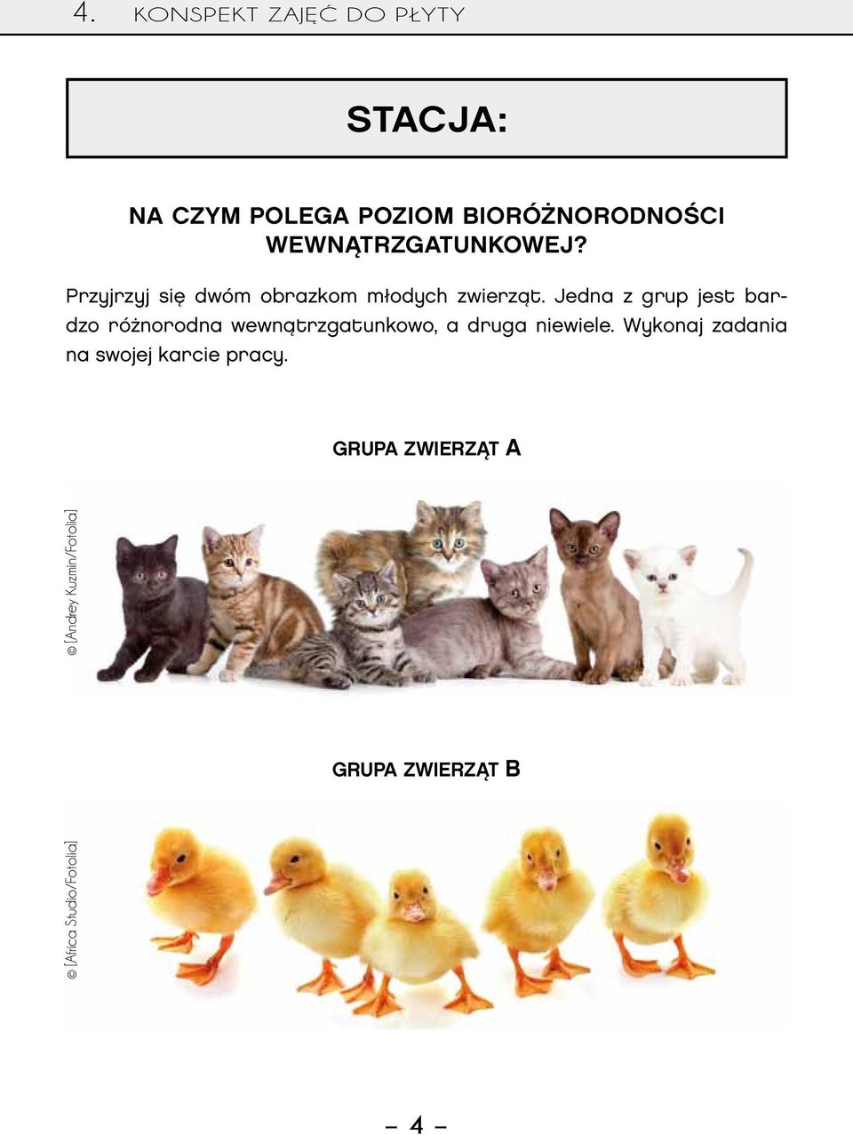 Jedna z grup jest bardzo różnorodna wewnątrzgatunkowo, a druga niewiele.