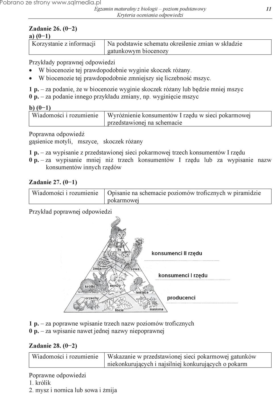 wygini cie mszyc g sienice motyli, mszyce, skoczek ró any Wyró nienie konsumentów I rz du w sieci pokarmowej przedstawionej na schemacie 1 p.