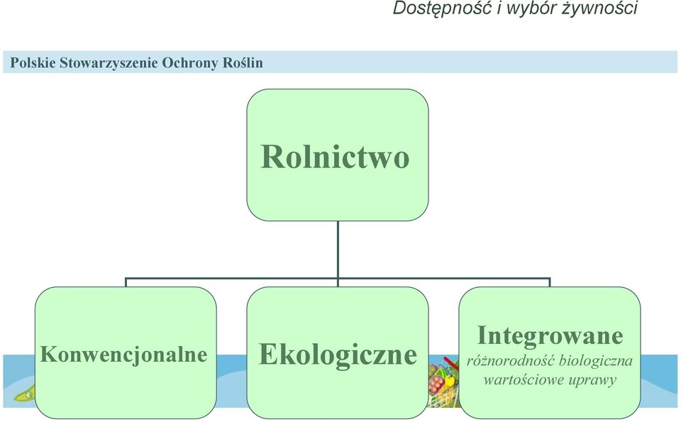 Ekologiczne Integrowane ró