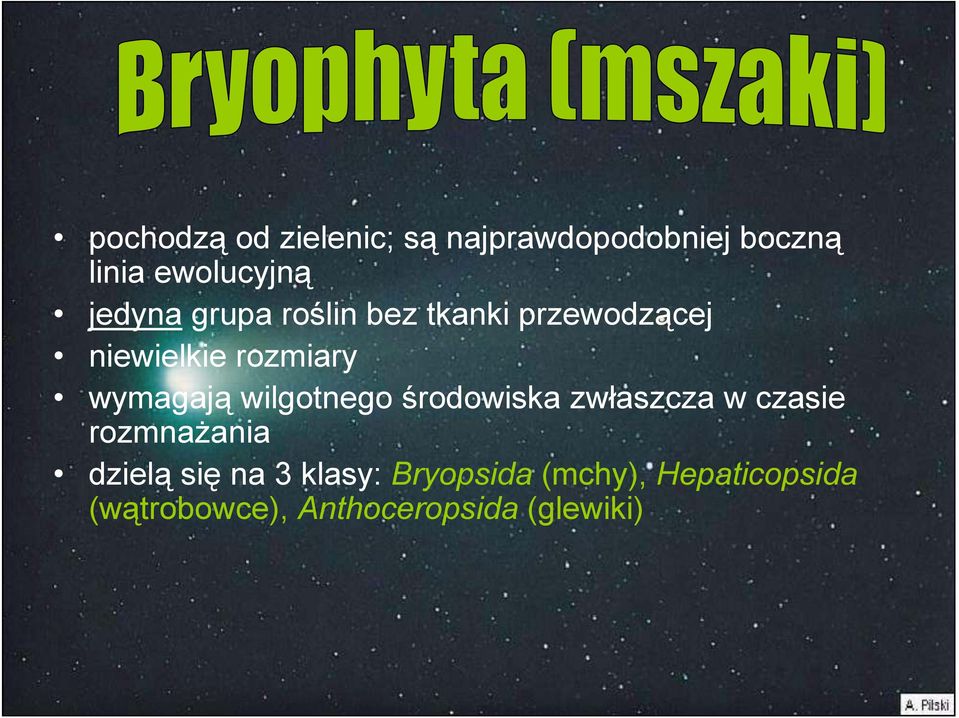 wymagają wilgotnego środowiska zwłaszcza w czasie rozmnaŝania dzielą