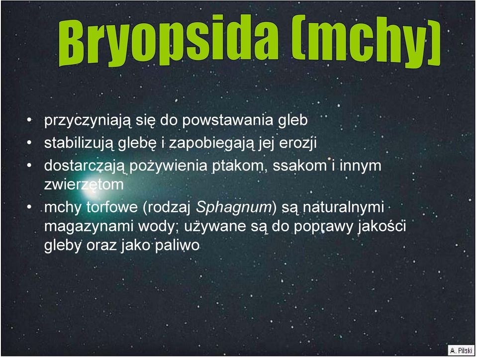 innym zwierzętom mchy torfowe (rodzaj Sphagnum) są naturalnymi