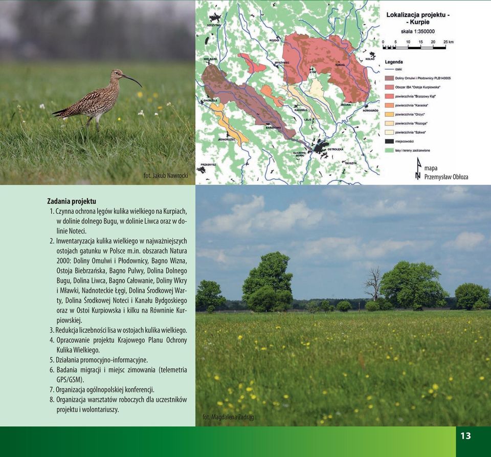 obszarach Natura 2000: Doliny Omulwi i Płodownicy, Bagno Wizna, Ostoja Biebrzańska, Bagno Pulwy, Dolina Dolnego Bugu, Dolina Liwca, Bagno Całowanie, Doliny Wkry i Mławki, Nadnoteckie Łęgi, Dolina