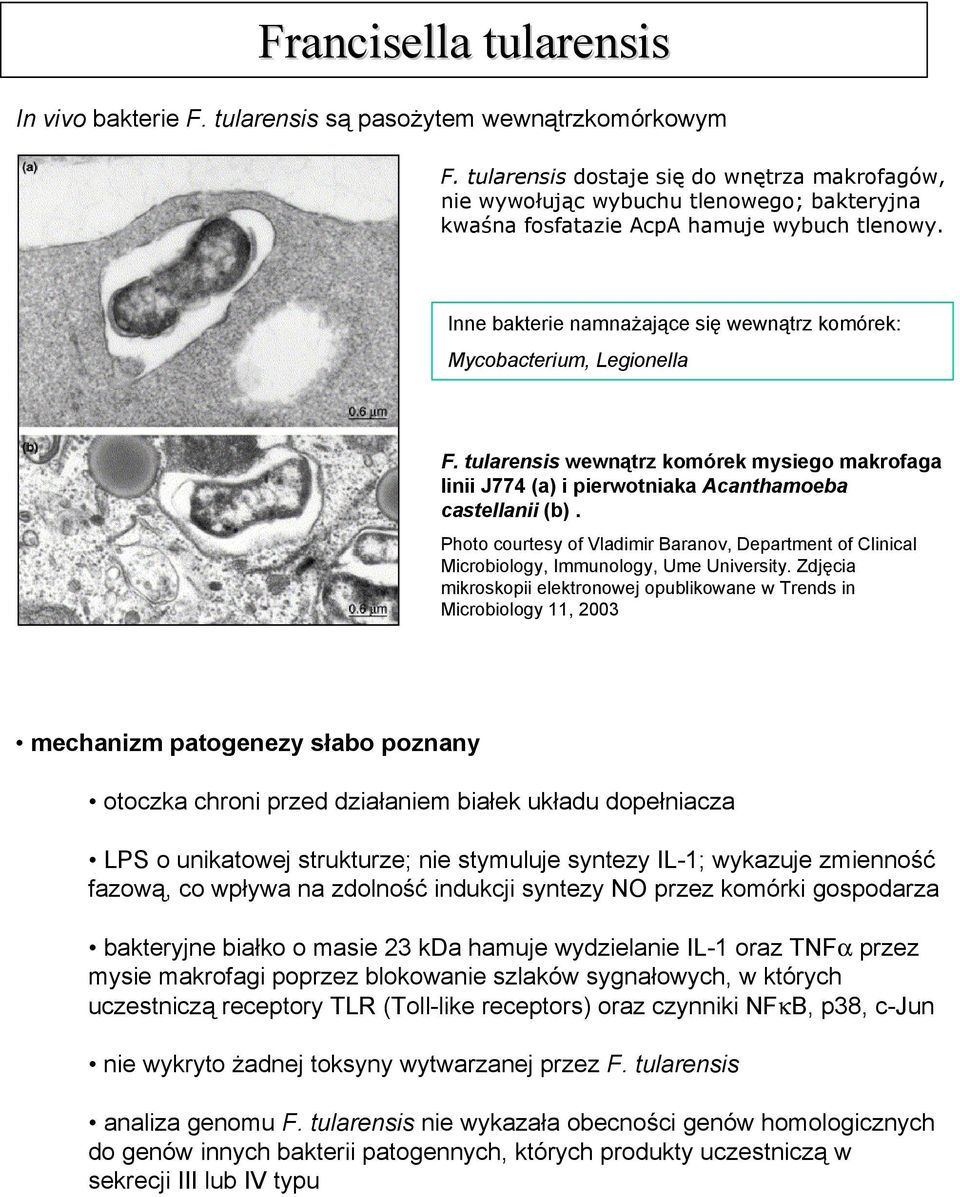 Inne bakterie namnażające się wewnątrz komórek: Mycobacterium, Legionella F. tularensis wewnątrz komórek mysiego makrofaga linii J774 (a) i pierwotniaka Acanthamoeba castellanii (b).