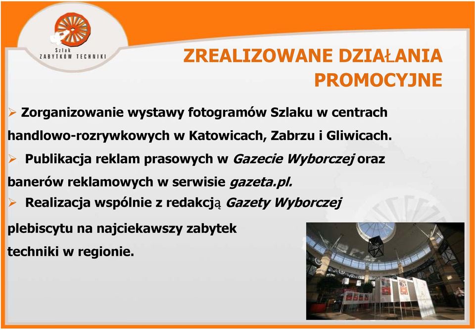 Publikacja reklam prasowych w Gazecie Wyborczej oraz banerów reklamowych w serwisie