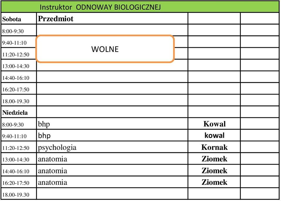 9:40-11:10 bhp kowal 11:20-12:50 psychologia Kornak 13:00-14:30