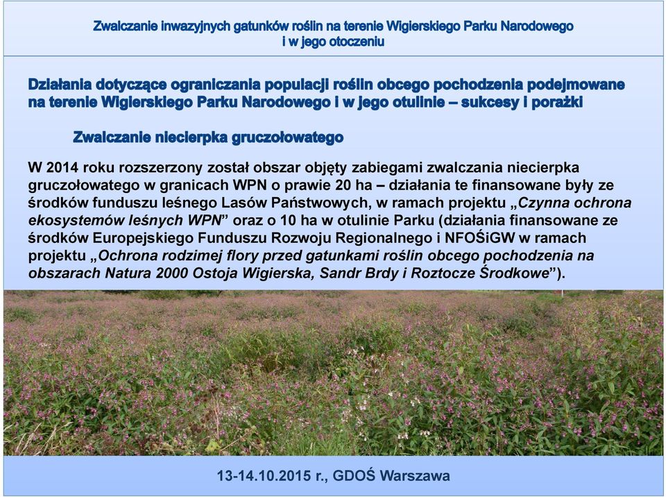 ha w otulinie Parku (działania finansowane ze środków Europejskiego Funduszu Rozwoju Regionalnego i NFOŚiGW w ramach projektu Ochrona