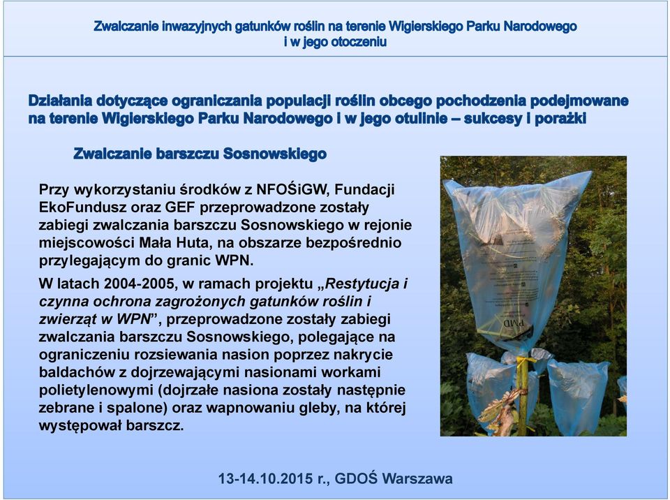 W latach 2004-2005, w ramach projektu Restytucja i czynna ochrona zagrożonych gatunków roślin i zwierząt w WPN, przeprowadzone zostały zabiegi zwalczania