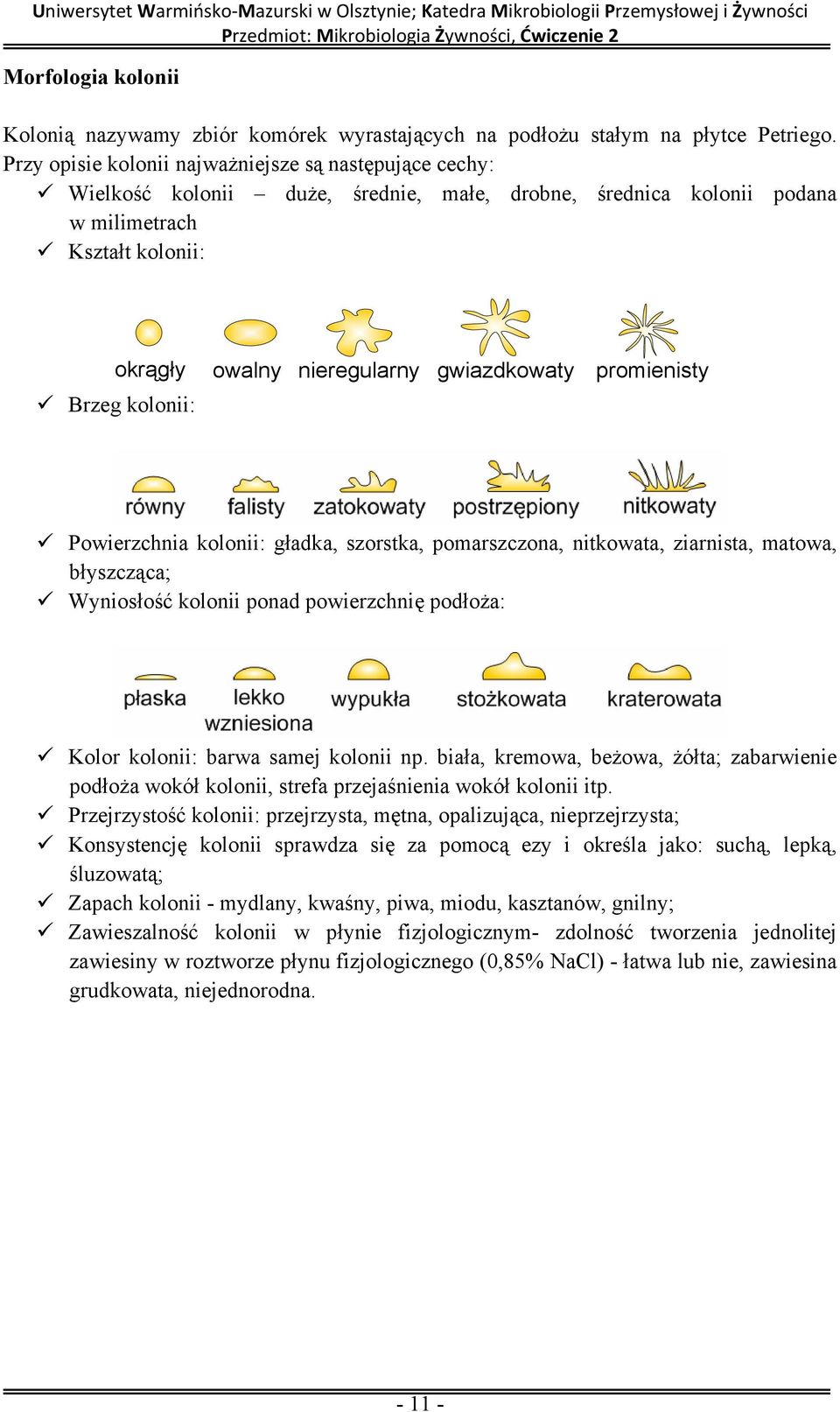 promienisty Brzeg kolonii: Powierzchnia kolonii: gładka, szorstka, pomarszczona, nitkowata, ziarnista, matowa, błyszcząca; Wyniosłość kolonii ponad powierzchnię podłoża: Kolor kolonii: barwa samej