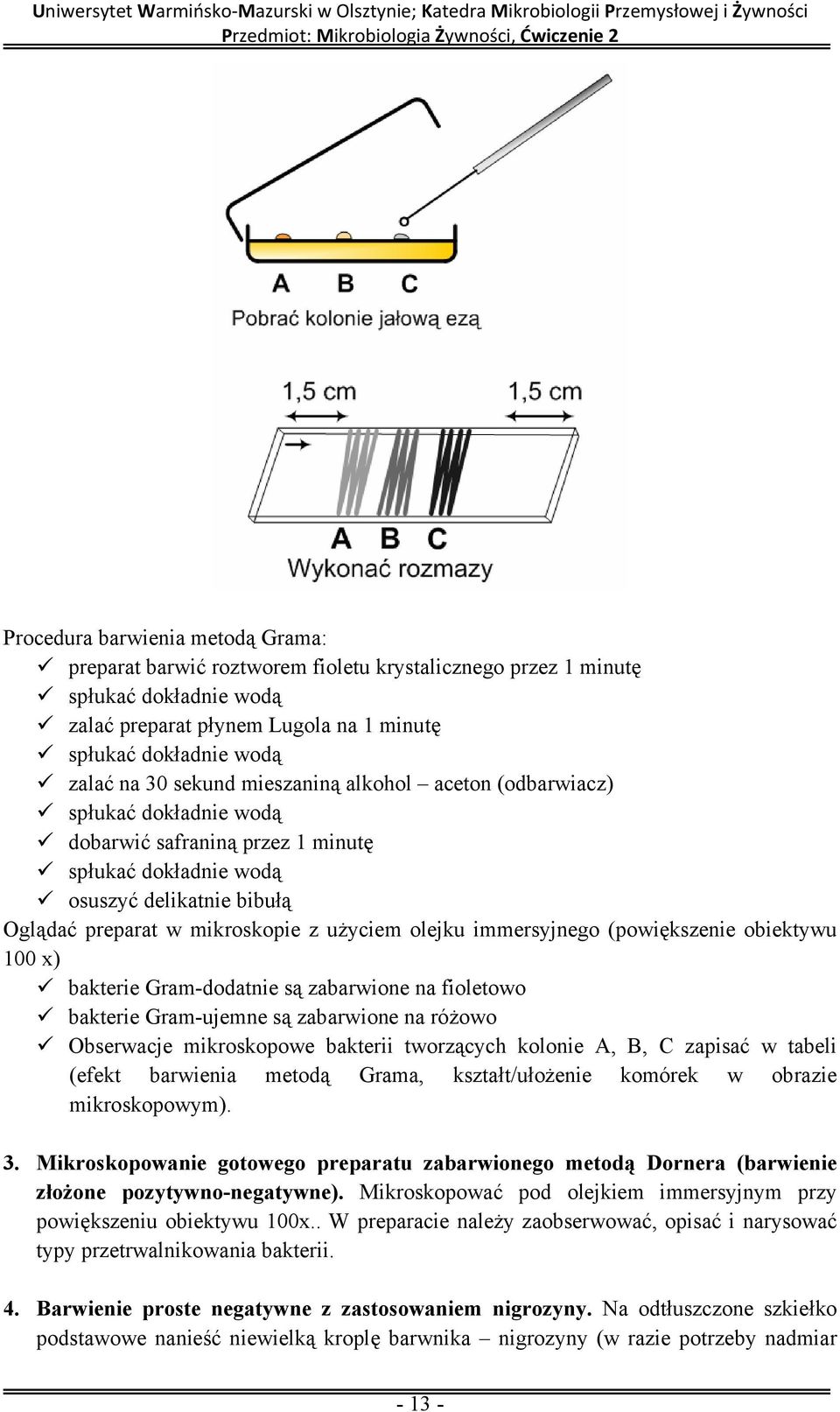 immersyjnego (powiększenie obiektywu 100 x) bakterie Gram-dodatnie są zabarwione na fioletowo bakterie Gram-ujemne są zabarwione na różowo Obserwacje mikroskopowe bakterii tworzących kolonie A, B, C