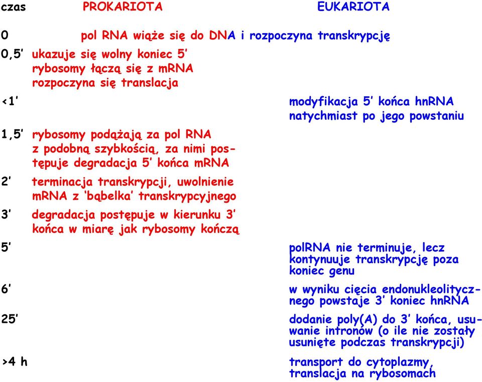 transkrypcyjnego 3 degradacja postępuje w kierunku 3 końca w miarę jak rybosomy kończą 5 polrna nie terminuje, lecz kontynuuje transkrypcję poza koniec genu 6 w wyniku cięcia