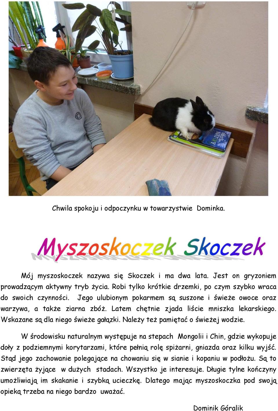 Latem chętnie zjada liście mniszka lekarskiego. Wskazane są dla niego świeże gałązki. Należy też pamiętać o świeżej wodzie.