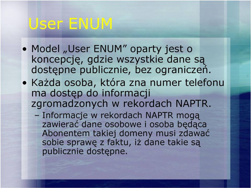 Każda osoba, która zna numer telefonu ma dostęp do informacji zgromadzonych w rekordach NAPTR.