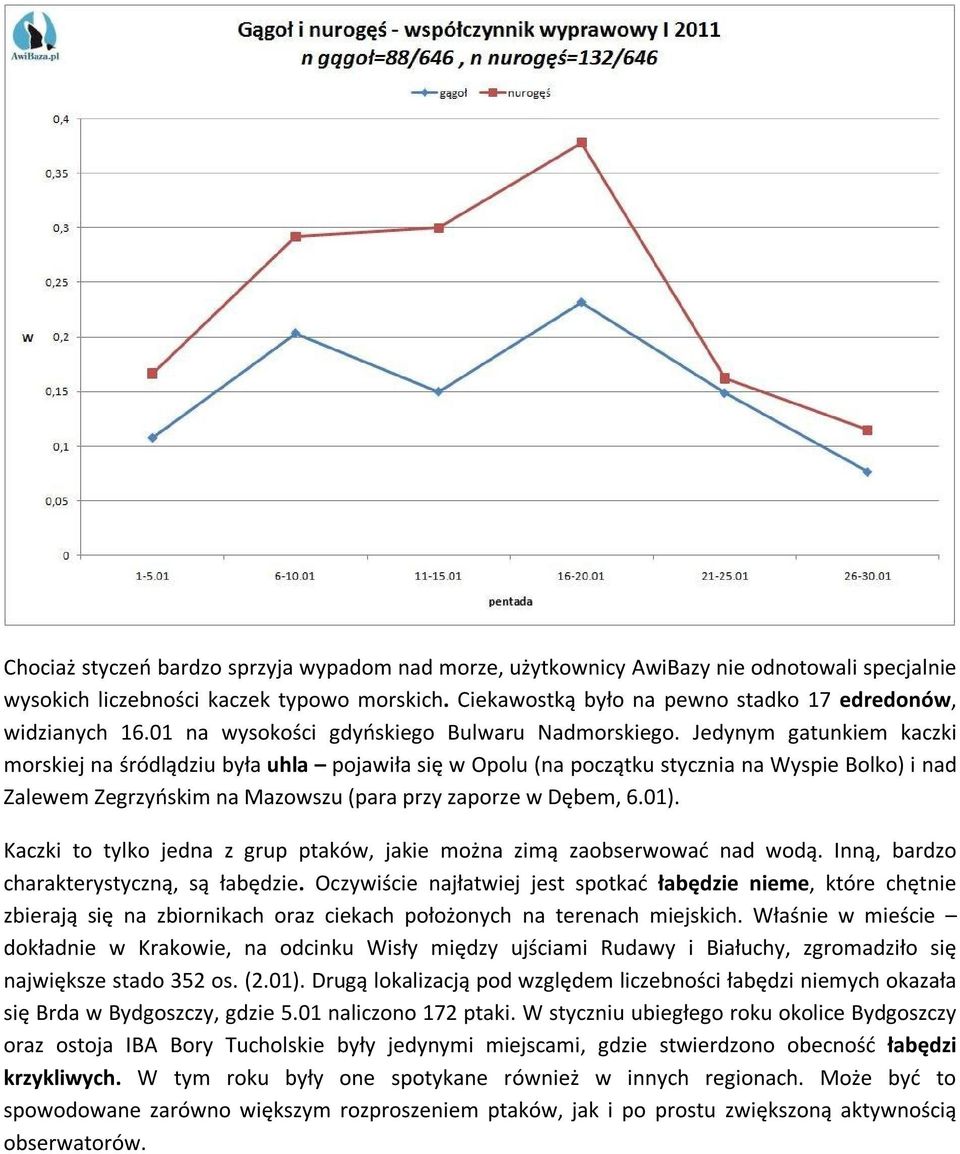 Jedynym gatunkiem kaczki morskiej na śródlądziu była uhla pojawiła się w Opolu (na początku stycznia na Wyspie Bolko) i nad Zalewem Zegrzyńskim na Mazowszu (para przy zaporze w Dębem, 6.01).