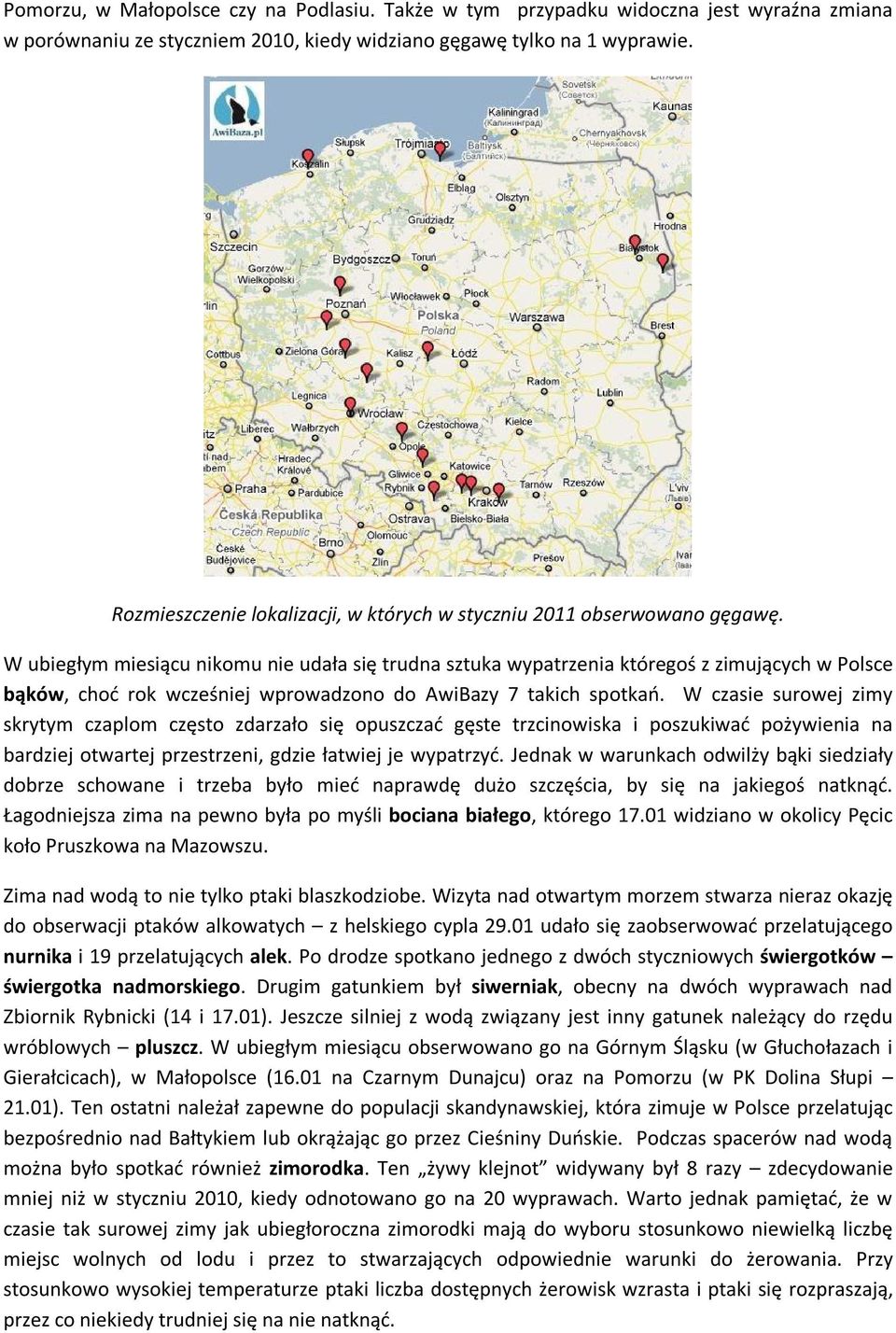 W ubiegłym miesiącu nikomu nie udała się trudna sztuka wypatrzenia któregoś z zimujących w Polsce bąków, choć rok wcześniej wprowadzono do AwiBazy 7 takich spotkań.