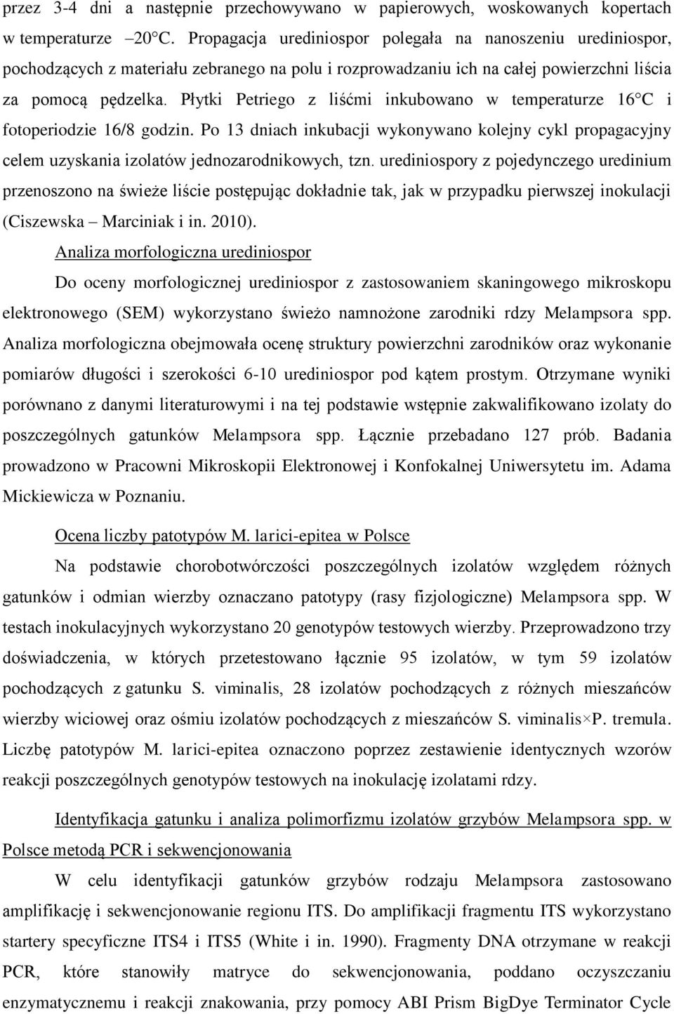 Płytki Petriego z liśćmi inkubowano w temperaturze 16 C i fotoperiodzie 16/8 godzin. Po 13 dniach inkubacji wykonywano kolejny cykl propagacyjny celem uzyskania izolatów jednozarodnikowych, tzn.