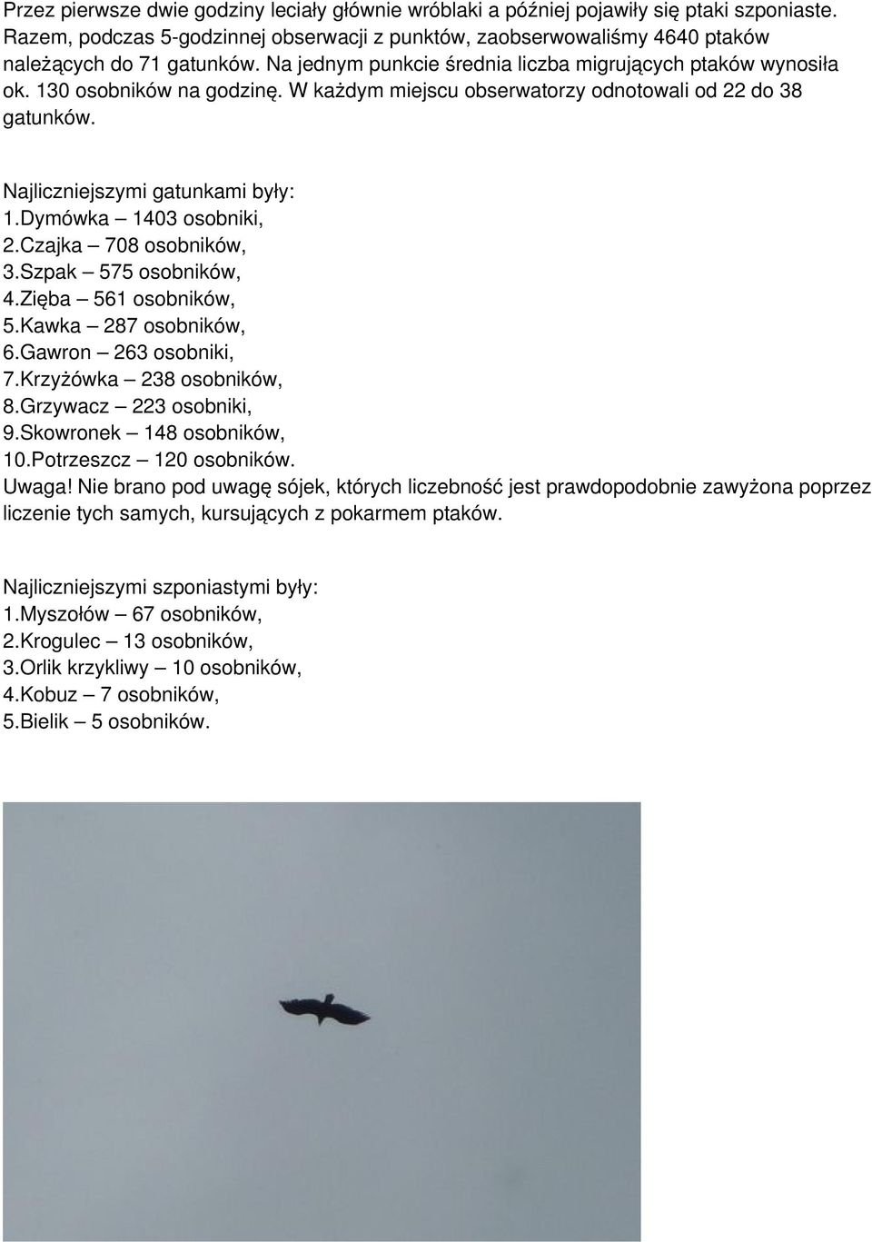 Dymówka 1403 osobniki, 2.Czajka 708 osobników, 3.Szpak 575 osobników, 4.Zięba 561 osobników, 5.Kawka 287 osobników, 6.Gawron 263 osobniki, 7.Krzyżówka 238 osobników, 8.Grzywacz 223 osobniki, 9.