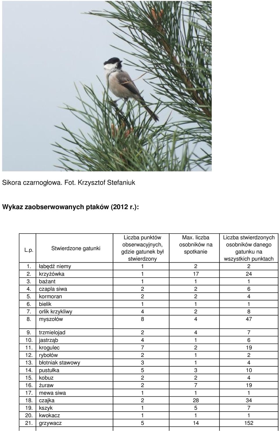 czapla siwa 2 2 6 5. kormoran 2 2 4 6. bielik 1 1 1 7. orlik krzykliwy 4 2 8 8. myszołów 8 4 47 9. trzmielojad 2 4 7 10. jastrząb 4 1 6 11. krogulec 7 2 19 12.