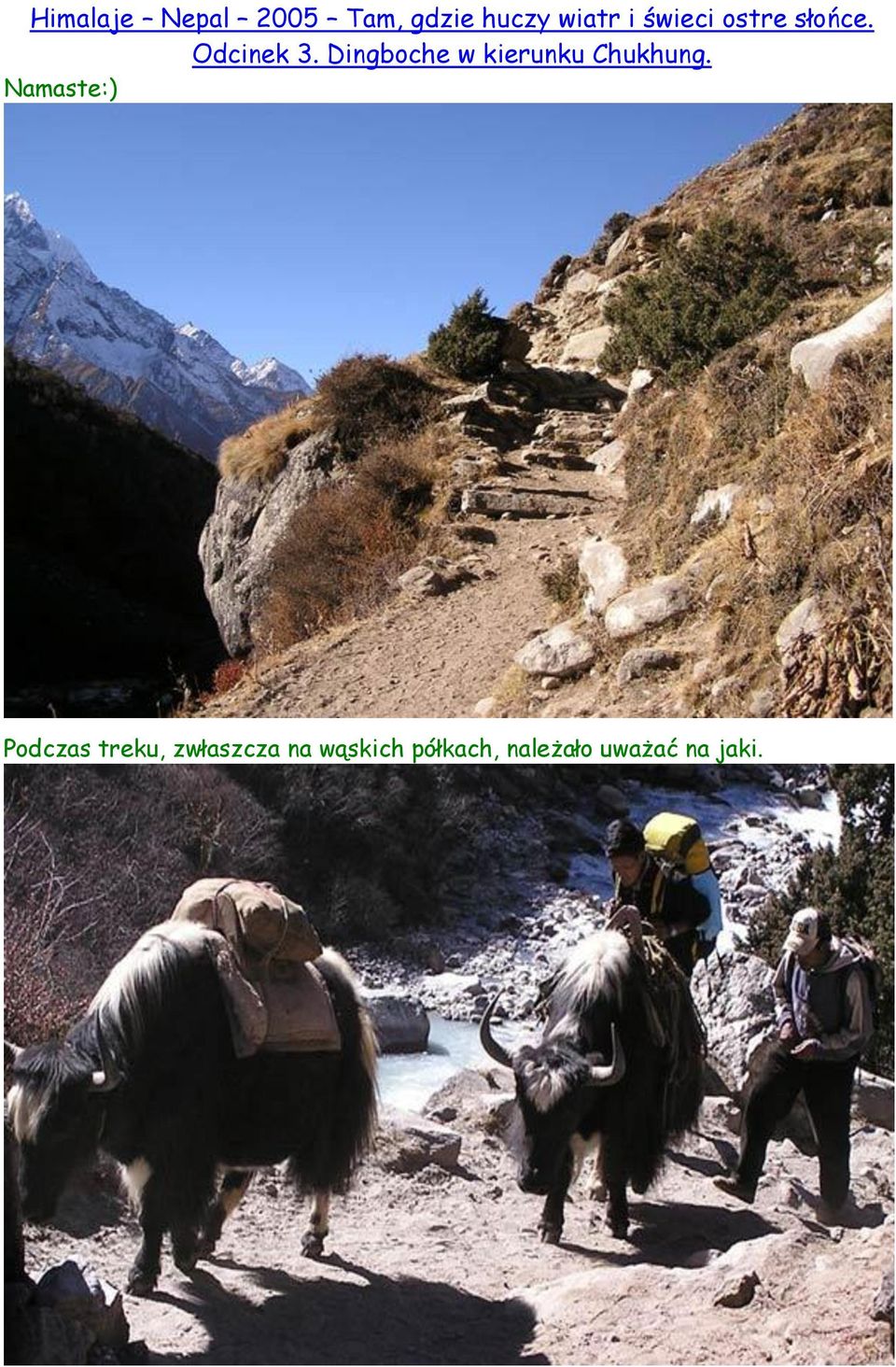 Dingboche w kierunku Chukhung.