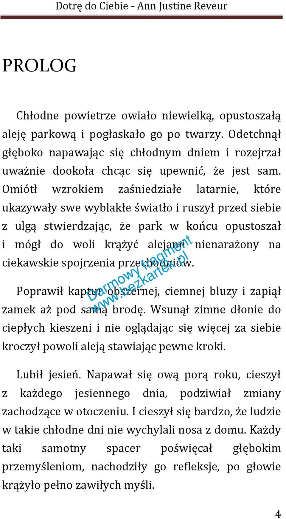 Omiótł wzrokiem zaśniedziałe latarnie, które ukazywały swe wyblakłe światło i ruszył przed siebie z ulgą stwierdzając, że park w końcu opustoszał i mógł do woli krążyć alejami nienarażony na