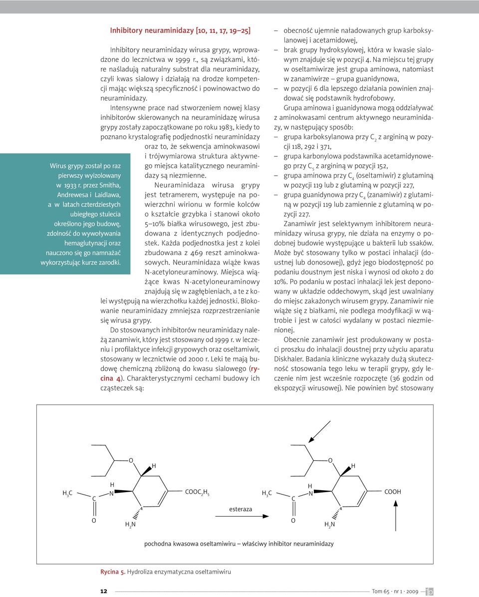 Intensywne prace nad stworzeniem nowej klasy inhibitorów skierowanych na neuraminidazę wirusa grypy zostały zapoczątkowane po roku 198, kiedy to poznano krystalografię podjednostki neuraminidazy oraz