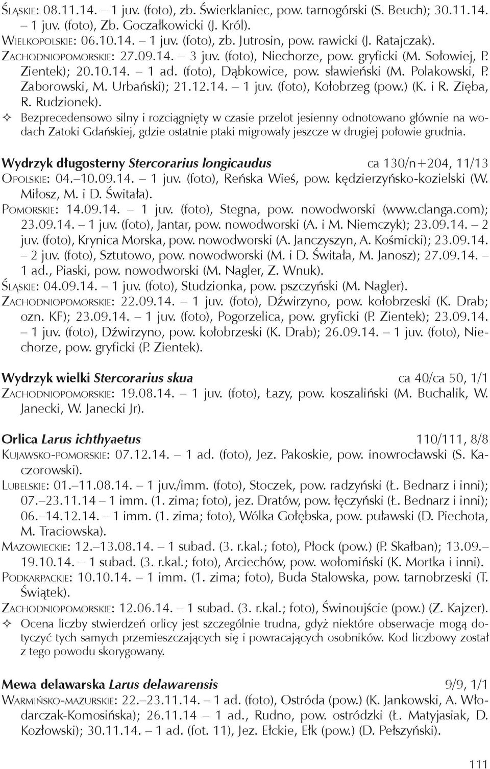 Zaborowski, M. Urbański); 21.12.14. 1 juv. (foto), Kołobrzeg (pow.) (K. i R. Zięba, R. Rudzionek).