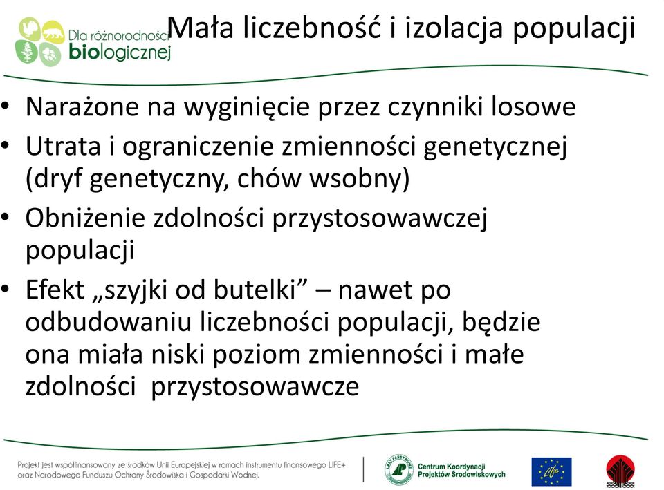 zdolności przystosowawczej populacji Efekt szyjki od butelki nawet po odbudowaniu