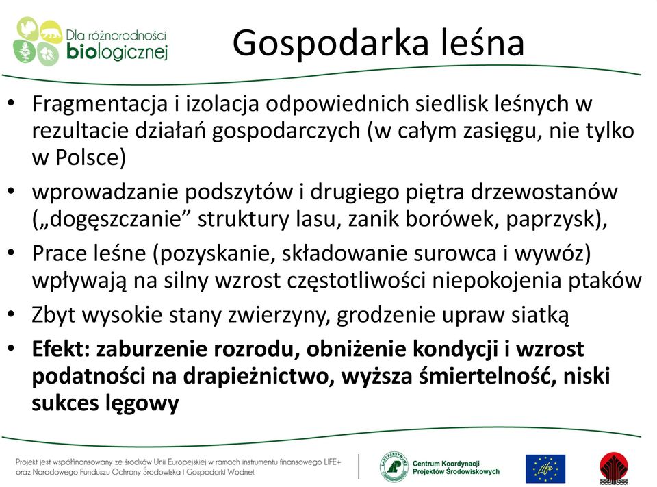 (pozyskanie, składowanie surowca i wywóz) wpływają na silny wzrost częstotliwości niepokojenia ptaków Zbyt wysokie stany zwierzyny,