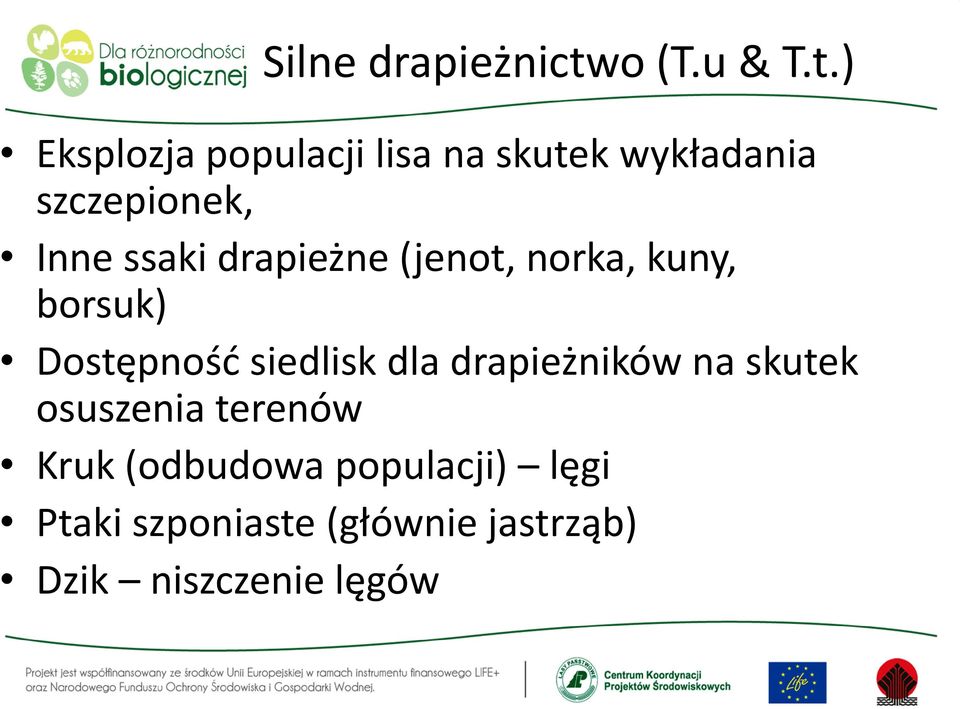 ) Eksplozja populacji lisa na skutek wykładania szczepionek, Inne ssaki