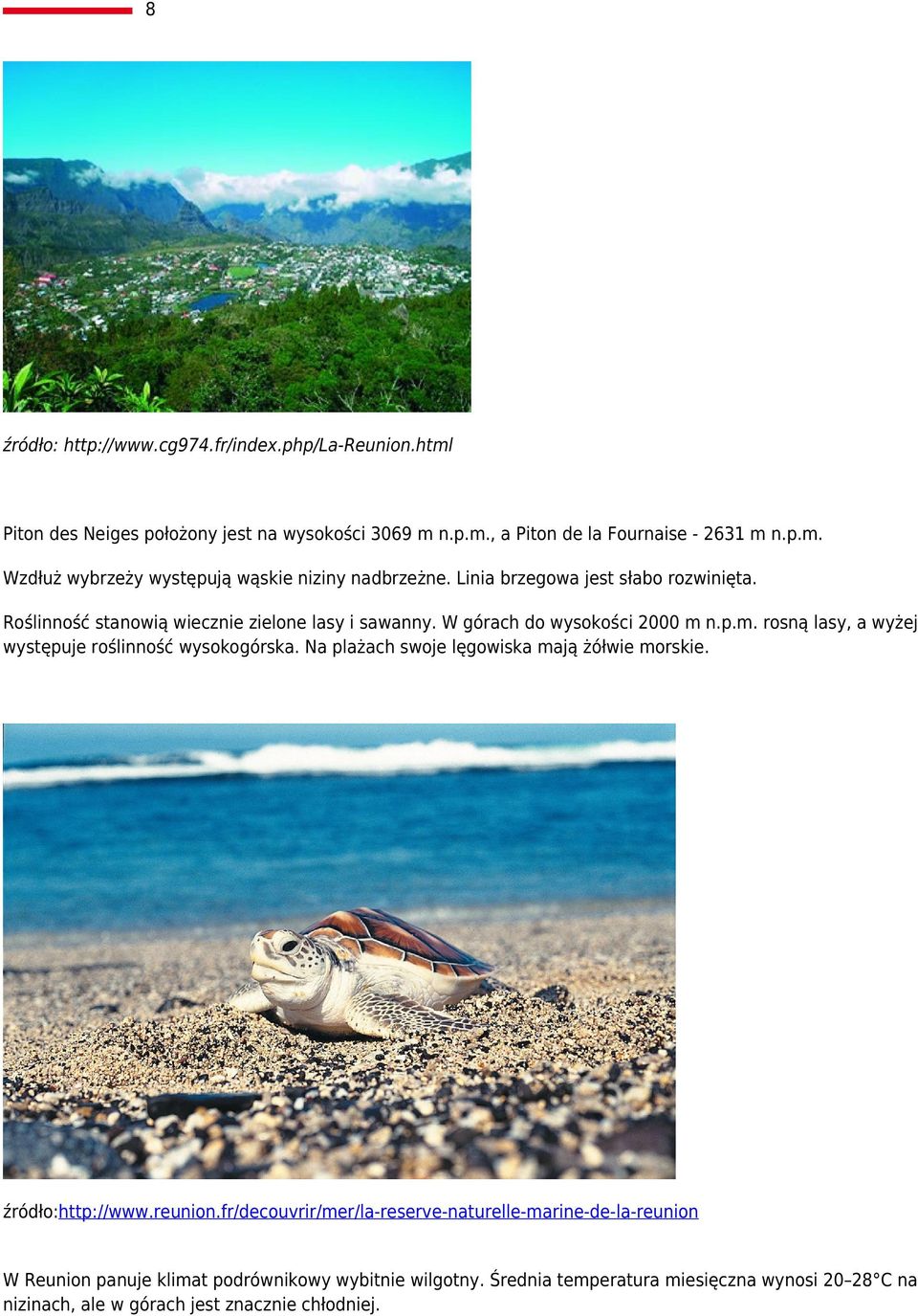 n.p.m. rosną lasy, a wyżej występuje roślinność wysokogórska. Na plażach swoje lęgowiska mają żółwie morskie. źródło:http://www.reunion.