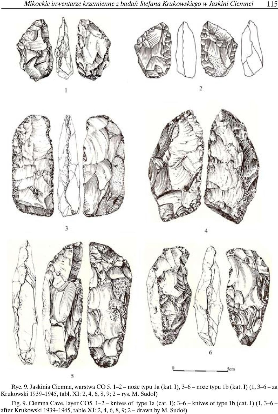 I) (1, 3 6 za Krukowski 1939 1945, tabl. XI: 2, 4, 6, 8, 9; 2 rys. M. Sudoł) Fig. 9. Ciemna Cave, layer CO5.