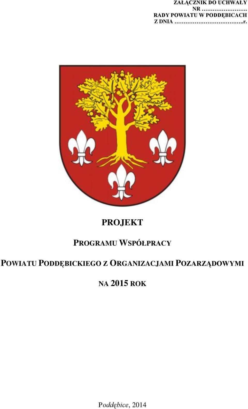 PROJEKT PROGRAMU WSPÓŁPRACY POWIATU