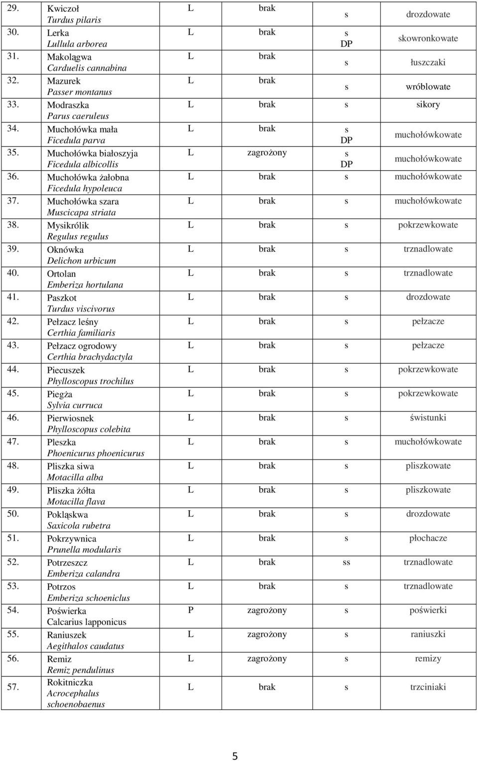 Ficedula hypoleuca 3 Muchołówka zara Mucicapa triata 3 Myikrólik Regulu regulu 3 Oknówka Delichon urbicum 40.