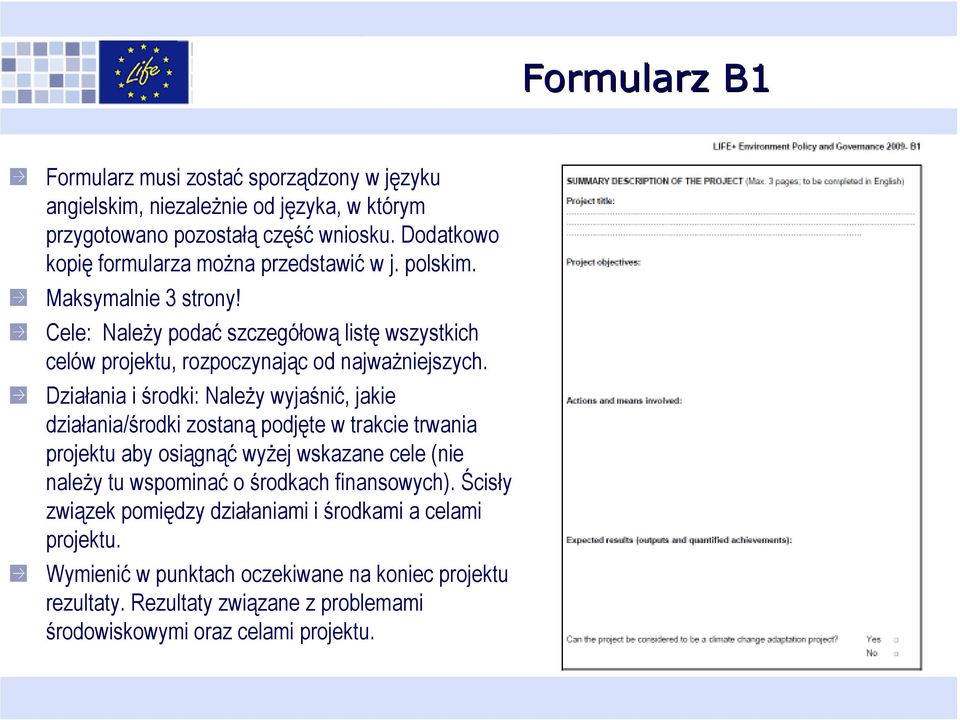 Cele: NaleŜy podać szczegółową listę wszystkich celów projektu, rozpoczynając od najwaŝniejszych.