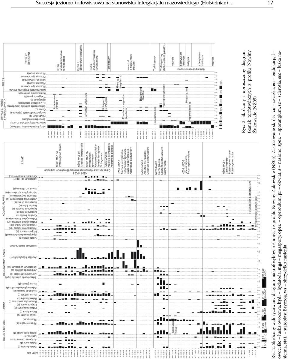 Skrócony waloryzowany diagram makrofosyliów roślinnych z profilu Nowiny Żukowskie (NŻ05).