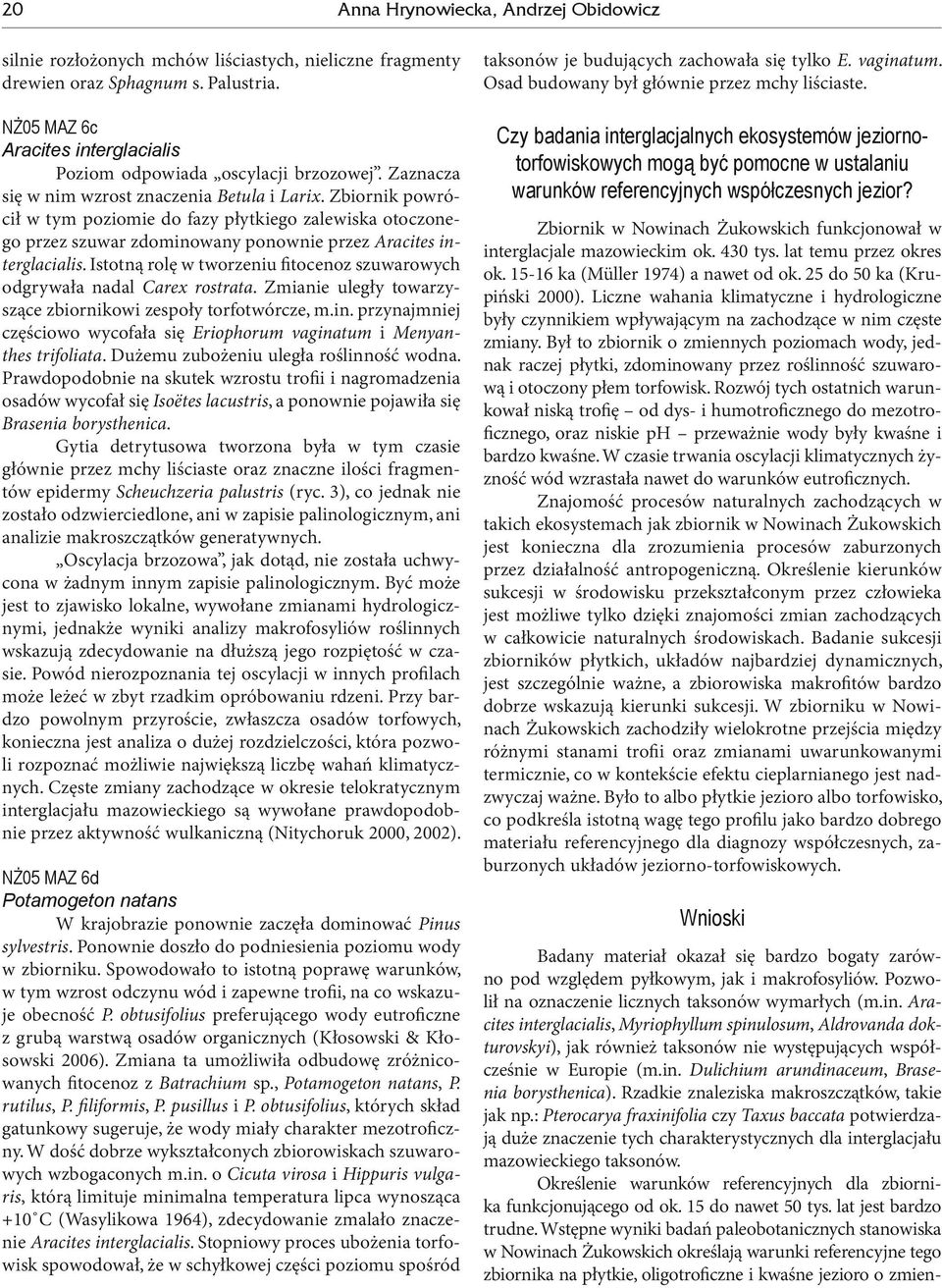 Zbiornik powrócił w tym poziomie do fazy płytkiego zalewiska otoczonego przez szuwar zdominowany ponownie przez Aracites interglacialis.