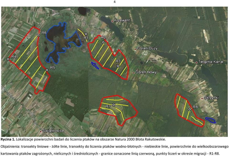 Objaśnienia: transekty liniowe - żółte linie, transekty do liczenia ptaków wodno-błotnych -