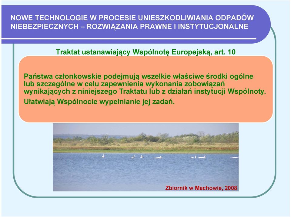 10 Państwa członkowskie podejmują wszelkie właściwe środki ogólne lub szczególne w celu zapewnienia i